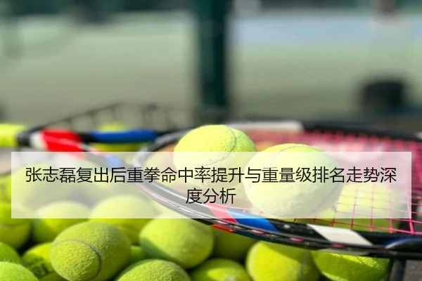 张志磊复出后重拳命中率提升与重量级排名走势深度分析