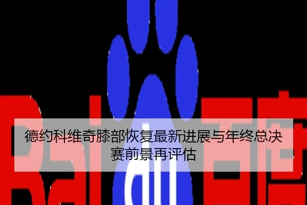 德约科维奇膝部恢复最新进展与年终总决赛前景再评估
