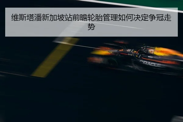 维斯塔潘新加坡站前瞻轮胎管理如何决定争冠走势
